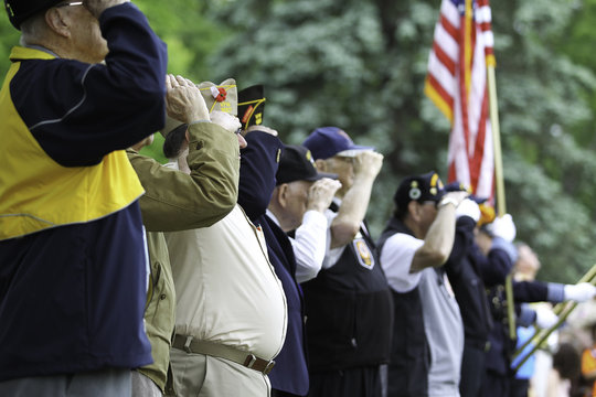 Veterans Saluting