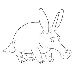 Anteater illustration