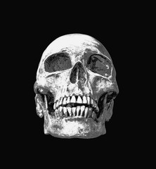 Human skull on isolated black background