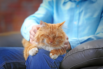Sitting man holding a fluffy red cat
