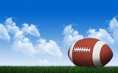 football on grass with landscape background