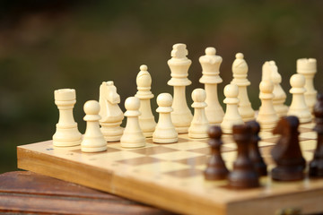 Chess pieces and game board on nature background