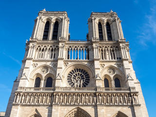 Fototapeta na wymiar Notre dame cathedral in Paris