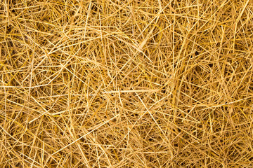 Straw yellow for the background.