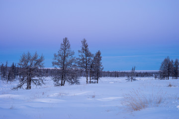 Winter Evening Landscape with forest, cliffs, sunset and cloudy sky 