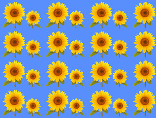  pattern flower sunflower