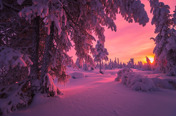 Winterabendlandschaft mit Wald, Klippen, Sonnenuntergang und bewölktem Himmel