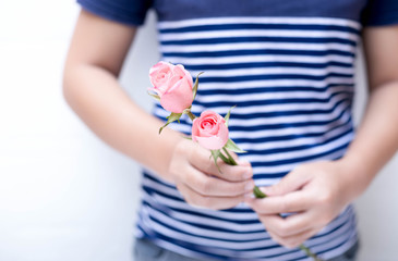 Hand holding a beautiful  pink rose isolated