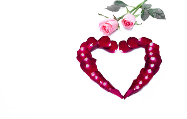 Beautiful heart shape of red rose and pink rose isolated