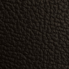 leather macro shot