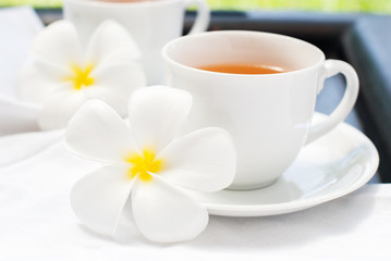 Fototapeta na wymiar White Cup Fresh Hot Tea Plumeria Flowers on White. Tropical Style Beverage