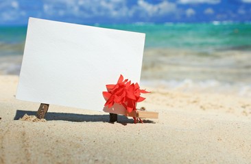 Message paper on tropical island beach. Empty paper pinned on driftwood with flowers on sea coast.