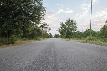Fototapeta premium road in forest