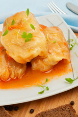 Stuffed Cabbage Roll with Vegetables