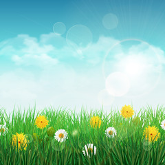 Spring background with green grass and sky, one white daisy and dandelion flower.
