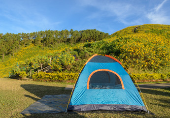 Camping tent with beautiful mountain nature scene of wild mexican flower 