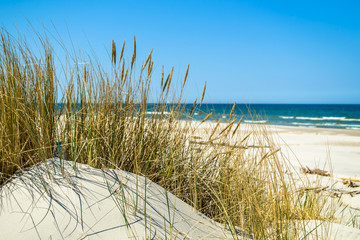 Grass sand dune beach sea view, Leba, Baltic seascape. - obrazy, fototapety, plakaty