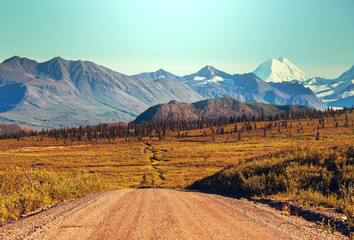 Denali highway