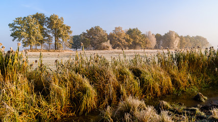 Łąki nad Narwią © podlaski49