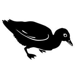 black silhouette duckling vector illustration