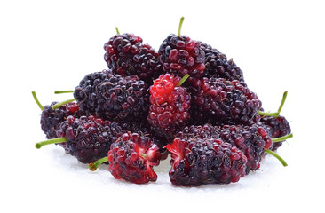 Drops water Mulberry isolated on white background.