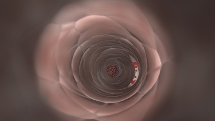 Endoscopic view of flowing red blood cells in a graft