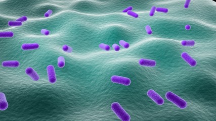 3d rendered close up of isolated lactobacillus.