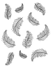 Hand drawn feathers