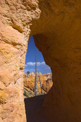 Arches of red rock
