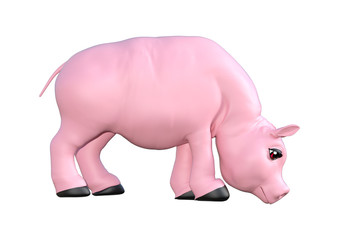 Pink Pig on White