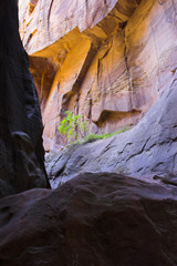 Canyon creeks and rivers