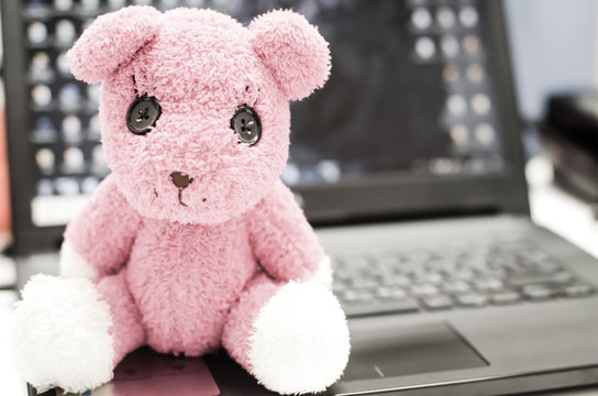 The Pink Teddy Bear Sit On The Laptop