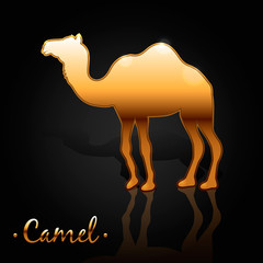 the image of a golden camel 