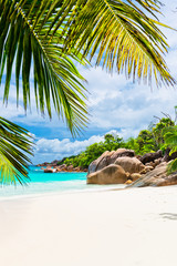 Anse Lazio beach, Praslin island. The Seychelles - obrazy, fototapety, plakaty