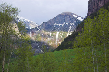 Mountains and aspens