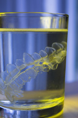 Transparent dental orthodontic