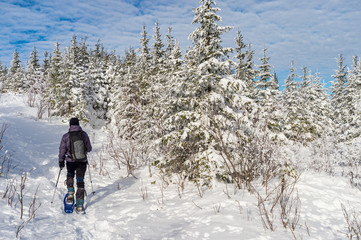 Young man snowshoeing in winter,  in the Quebec eastern township