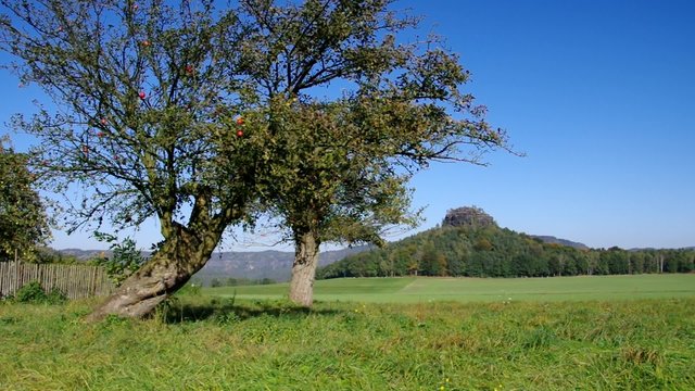 Zirkelstein vid 01