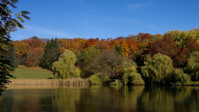 Spremberg Schwanenteich im Herbst vid 01