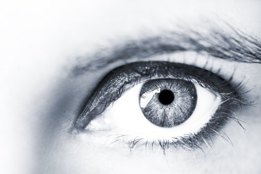 Image of a beautiful insightful look human eye
