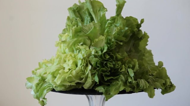 scarola