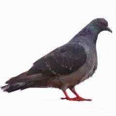 Low dove  poly design triangular gray pigeon triangular