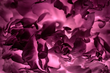 Fototapeta premium Abstract background texture