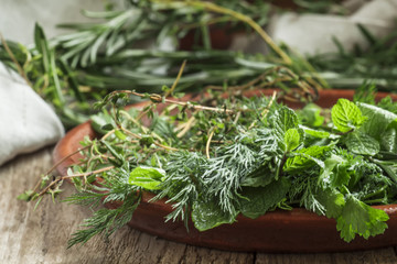 Spicy herbs in a clay dish, selective focus