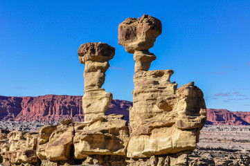 The Submarine rock formation in the Ischigualasto National Park,