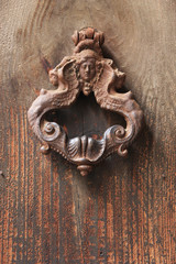 Ancient door knocker (handle). Rome, Italy