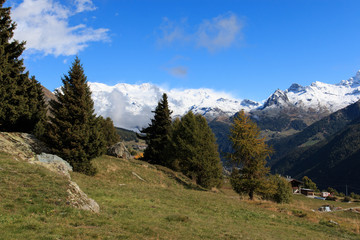 Fototapeta na wymiar Gruppo del Monte Rosa dalle valle Ayas
