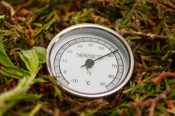 Close up photo of a thermometer showing high temperature in the compost