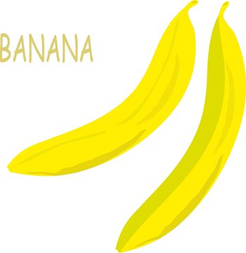 Yellow bananas on white background, hand drawing, painting. Healthy eating, fruit, organic, packaging design, product packaging, product label, design elements, clipart, vector