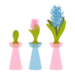 Vector illustration with flower pot